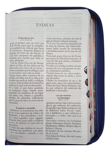Biblia Rvr60 Imitación Piel Lila 12 Puntos Abba Lila Flores
