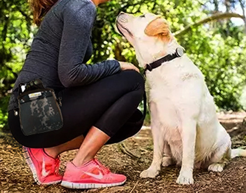 Imagen 4 de 5 de Porta Premio 1,5 Para Entrenamiento Perros Klokan
