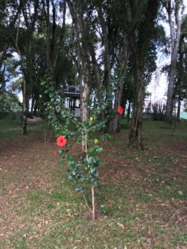 Imagem 13 de 30 de Excelente Terreno São Braz - Te-0448 - 3295582