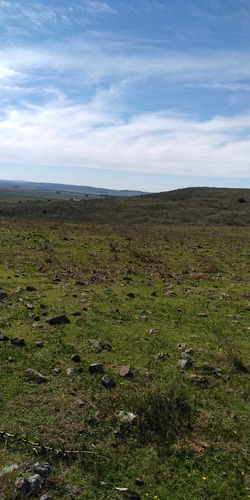 Campo Chacra Criadero De 106 Hras Con Casa En Colon- Lavalleja