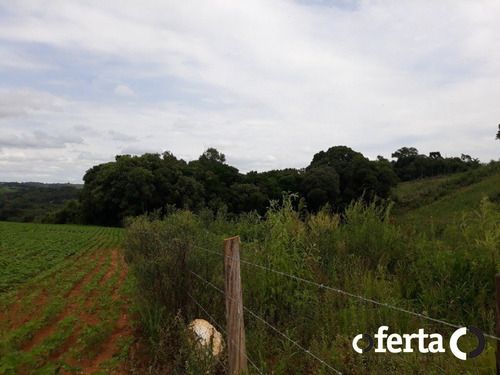 Imagem 8 de 15 de Chacara - Poco Grande - Ref: 596 - V-596