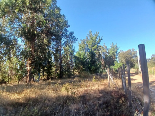 Se Vende Parcela 5000 Metros Cuadrados