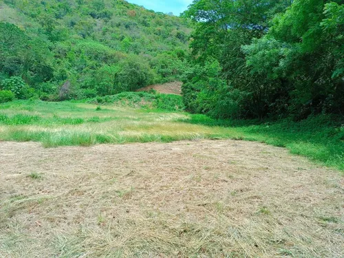 Lote En Venta En Paraje El Espinal. Cod V14863