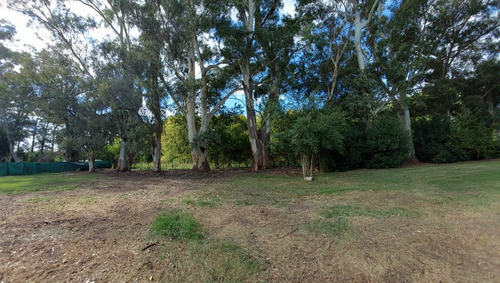 Vendo Lote Arbolado En Country Lobos - 1000 M2