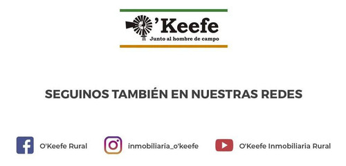 Campo Armado En Venta De 300 Has En Bolivar