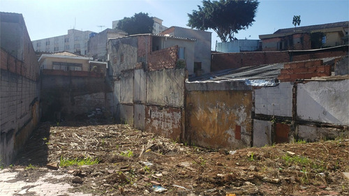 Imagem 6 de 15 de Terreno Comercial Avenida Interlagos - Reo578350