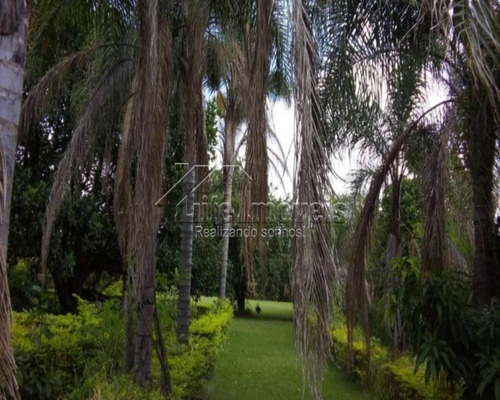 Chacara - Jardim Rosolem - Ref: 34166547 - V-ar00003