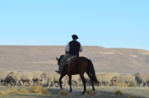 Estancia Manantiales De Collón Cura - Patagonia Argentina