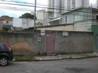 Imagem 5 de 5 de Terreno Vende-se - Te00008 - 1819919