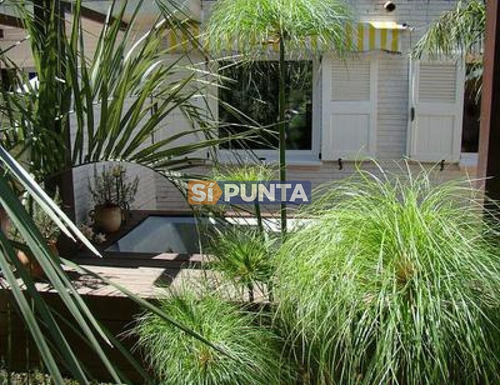 Imagen 9 de 9 de Casa En Alquiler, Playa Mansa