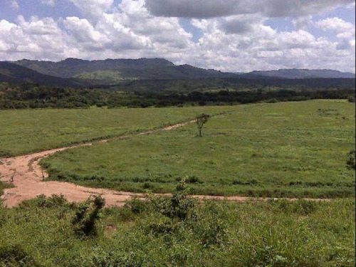 Imagen 2 de 25 de Finca De 400 Has En Sabana Grande De Orituco