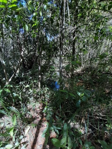 Imagem 2 de 10 de Chácara Com 1 Dormitório À Venda, 20000 M² Por R$ 295.000,00 - Zona Rural - Abadiânia/go - Ch0109