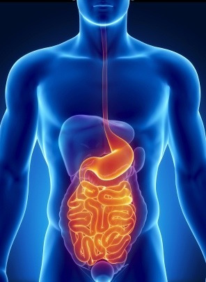 Vitamin Vitamina E Antioxidante