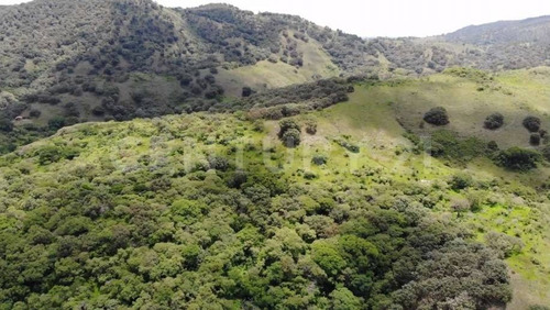 Imagen 9 de 10 de Terreno El Roble