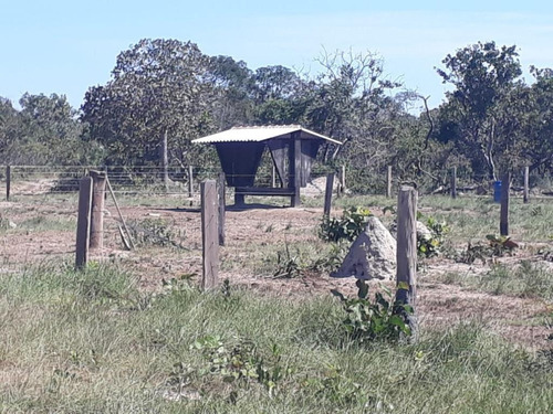 Imagem 24 de 28 de Fazenda À Venda, 3.106 Ha Por R$ 30.000.000 - Zona Rural - Cocalinho/mt - Fa0002