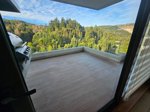 Depto. Lonco Ray Nuevo 4d 140 M2 Terraza Vista 2e +b