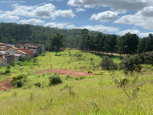 Imagem 1 de 6 de Área Para Venda Em São Paulo, Anhangüera - A1857_2-1172333