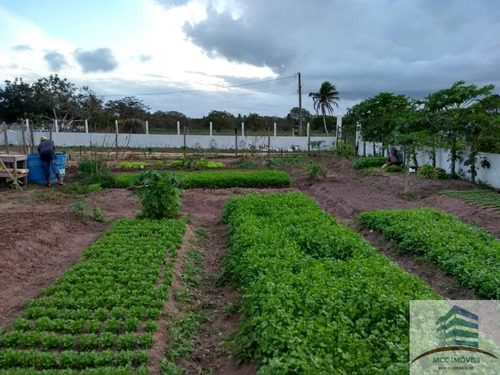Imagem 29 de 30 de Granja A Venda Em Macaíba