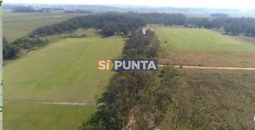 Imagen 4 de 5 de Chacra En Venta - Club De Polo