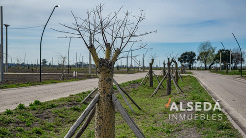 Terreno Venta Neander Villa Amelia Rosario