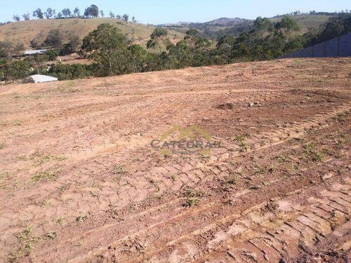 Imagem 1 de 5 de Terreno À Venda, 6500 M² Por R$ 330.000,00 - Estância São Paulo - Campo Limpo Paulista/sp - Te0049