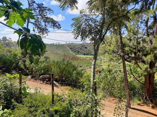 Imagem 25 de 27 de Casa Independente Na Fazenda Suíça. - Ca01715 - 69410568
