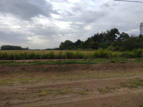 Campo En Venta En Pilar