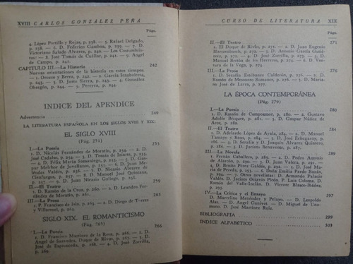 Curso De Literatura - Carlos Gonzáles Peña (Usado)