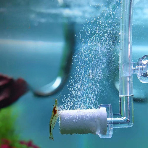 Difusor De Co2 Para Acuario Difusor En Cilindro Nl 200