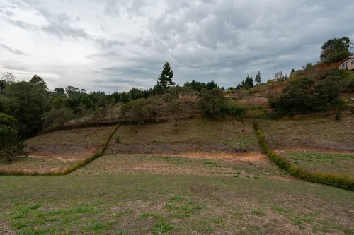 Cdo 3 - Rionegro - 2.755 M² - $495m