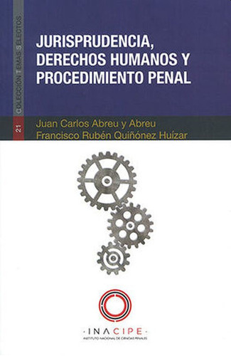 Libro Jurisprudencia, Derechos Humanos Y Procedimiento P Dku