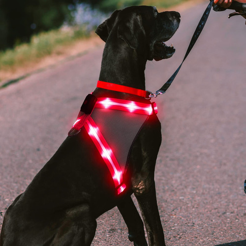 Chalklit Arns Luminoso Para Perro, Arns Reflectante Led Que