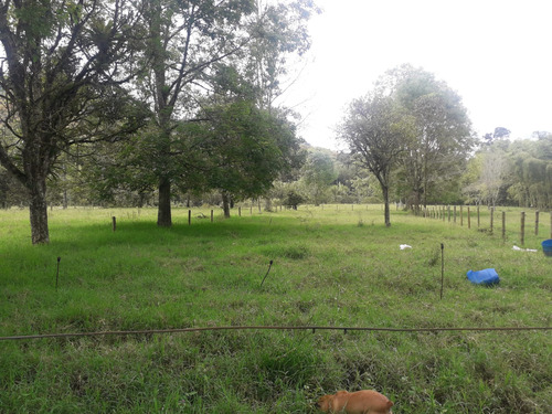 Se Vende Finca En Navarco Salento Quindío