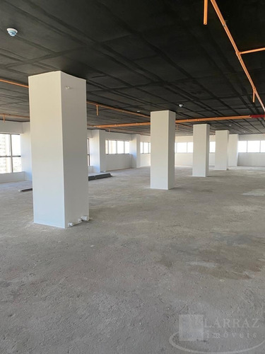 Laje Corporativa Alto Padrão Para Locação No Jardim Botanico, Edificio Le Monde, Com 550 M2 De Area Privativa E Infinitas Possibilidades - Sa00062 - 67667660
