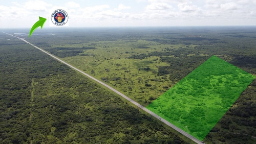 Imagen 1 de 21 de Terreno Sobre Carretera Cercano A Cervecería Vocación Indust