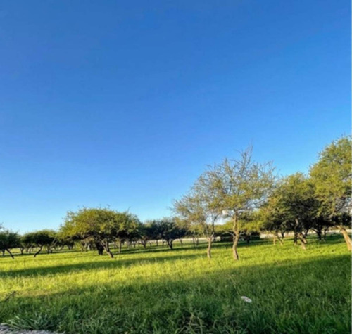 Imagen 2 de 3 de Lote 400 M2 - Villa Catalina