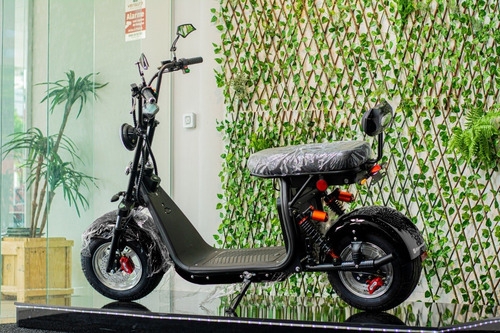 Imagem 9 de 12 de Scooter Eletrica 2000 Gloov