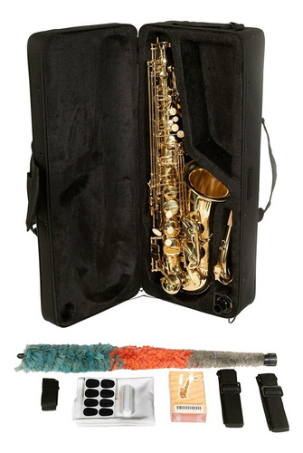 Saxofón Alto Aureal Eb Laqueado Aas1 Alta Calidad, Kit