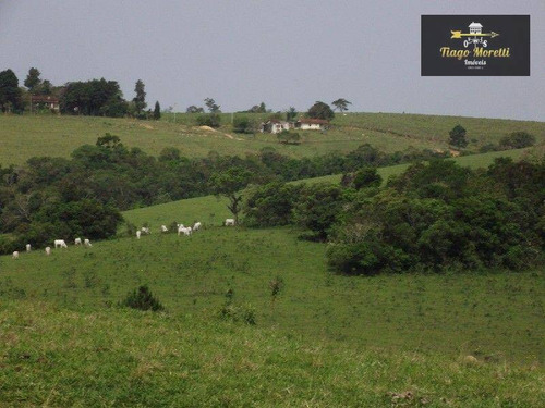 Imagem 3 de 30 de Excelente Fazenda 67 Alqueires - Fa0009