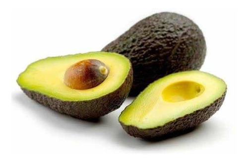 Muda De Abacate Hass (avocado) 30cm Enchertada Produz Rápido