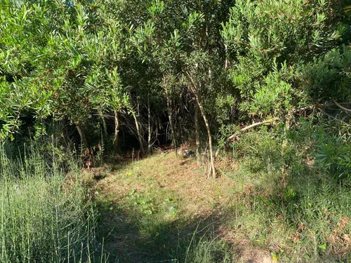Venta De Terreno En La Esmeralda-rocha. Ref 749.
