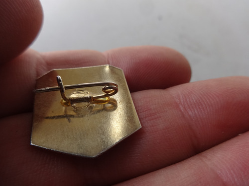 Pin Antiguo Coleccionable Chubut Sarmiento Escudo Arte Rupes (Usado)