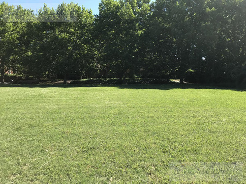 Lote Central En Esquina En Venta En Martindale - Teresa Urdapilleta Propiedades