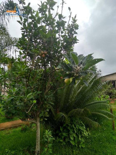 Chácara Com 3 Dormitórios À Venda, 15000 M² Por R$ 680.000,00 - Rural - Goianápolis/go - Ch0103