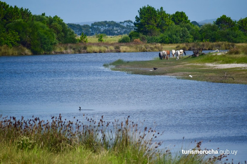 Ubicados En El Nuevo Fraccionamiento En Muelles De La Barra,