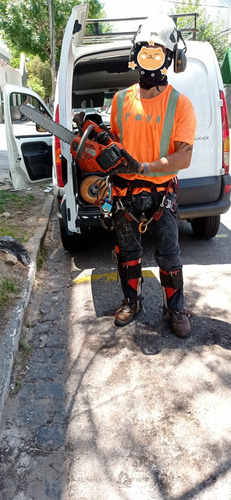 Imagen 7 de 10 de Poda De Arboles, Palmeras, Extracciones De Raiz