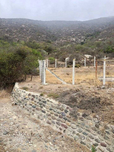Imagen 6 de 10 de Zapallar / Punta Pite