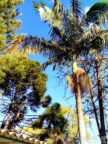 Sítio Para Venda Em Serra Negra - Sítio Para Venda Interior São Paulo - Sn100 - 33117325