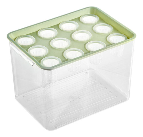 Hidropónico Kit De De Microgreens Caja De Tapa Verde