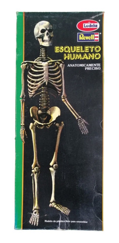 Juego De Mesa Esqueleto Humano De Lodela 80s (detalles)